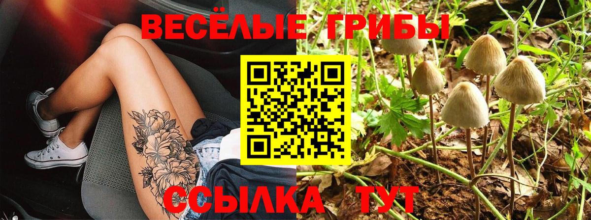 Псилоцибиновые грибы мухоморы Сыктывкар