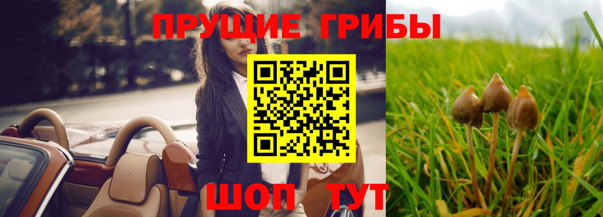 Сыктывкар  Псилоцибиновые грибы Cubensis  Вход с VPN 